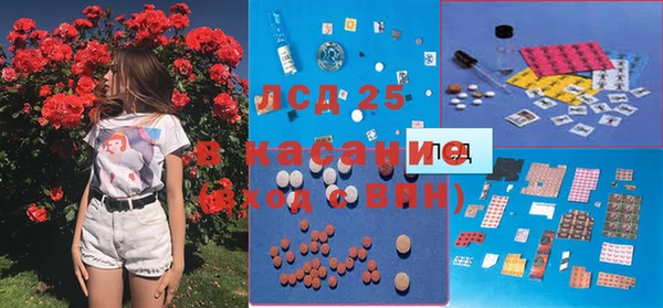 индика Белоозёрский