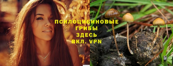 индика Белоозёрский