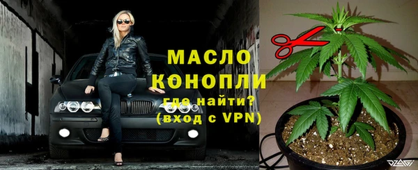 индика Белоозёрский
