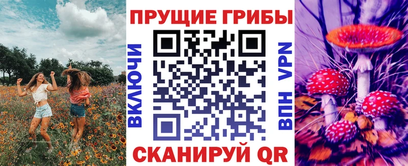 дарнет шоп Зеленогорск Галлюциногенные грибы прущие грибы